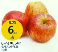 تفاح جالا (كغم)
