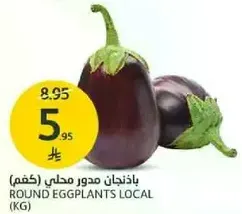 باذنجان مدور محلي