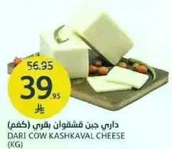 جبن قشقوان بقري