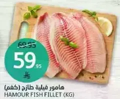 Hamour fish fillet (kg)