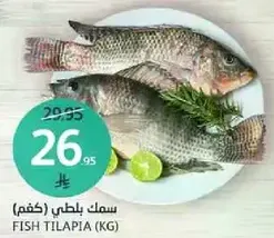 سمك بلطي (كغم)