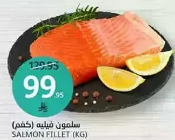 سلمون فيليه (كغم)