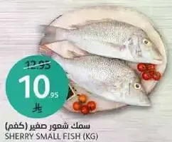 Sherry small fish