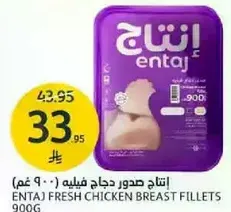 انتاج صدور دجاج فيليه