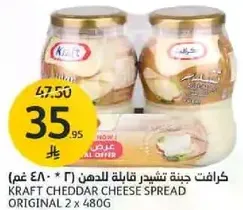 كرافت جبنه تشيدر قابله للدهن (2 * 480 غم).