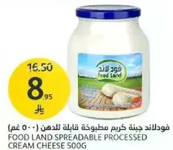 فودلاند جبنه كريمه مطبوخه قابله للدهن 500 غم