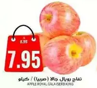تفاح رويال جالا (صربيا) / كيلو