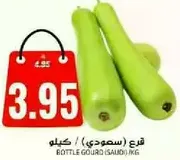 قرع (سعودي)