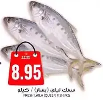Fresh Laila Queen Fish per kg.