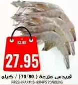 قريدس مزرعه (70/80) كيلو