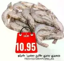 جمبري بحري طازج صغير.