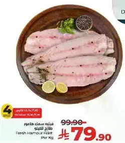 Fresh Hamour Fillet Per Kg