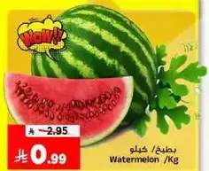 بطيخ / كيلو