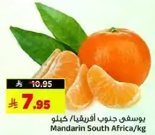 يوسفي جنوب افريقيا