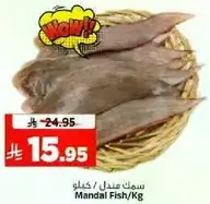 Mandal Fish/Kg