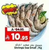 جمبري بحر صغير.