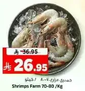 جمبري مزرعه 70-80 / كجم