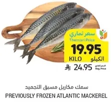سمك مكاريل مسبق التجميد.