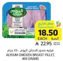 فيليه صدور الدجاج، اليوم، 450 جرام.