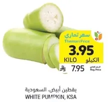 بقطين ابيض، السعوديه