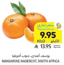 يوسف افندي، جنوب افريقيا.