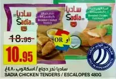 ساديان نقر دجاج اسكالوب 480غ