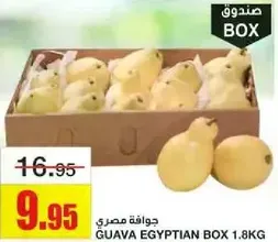جوافه مصري BOX 1.8KG