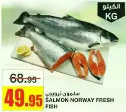 Salmon Norway fresh fish