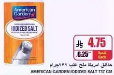 American Garden Iodized Salt 737 gm
