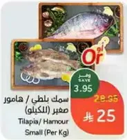 Tilapia / Hamour Small (Per Kg)