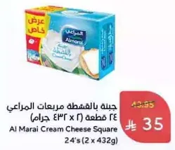 جبنه بالفيشه مربعات المراعي 24 قطعه (2 x 432 جرام)
