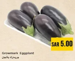 جرو مارك باذنجان