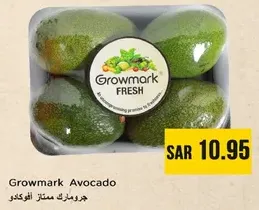 جرو مارك افوكادو