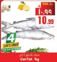 سمك السلور 1 كج