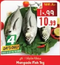 سمكه ملحا 1 كجم