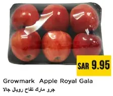 جري ماركه غنات رويال جالا