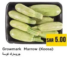 جرومارك كوسه