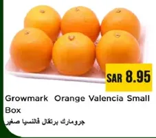 جرومارك برتقال فالتنسيا صغير