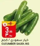 خيار سعودي / كجم