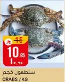 سلطعون كجم
