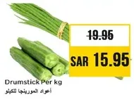 اعواد المورينجا للكيلو