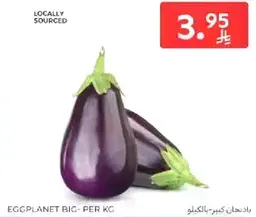 باذنجان محلي المصدر.