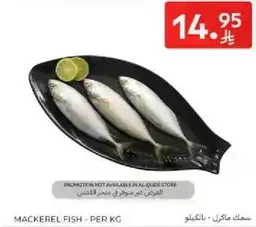 Mackerel fish - per kg