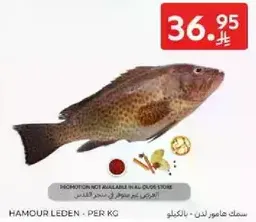 Hamour fish, per kg.