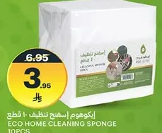 ايكوهوم، اسفنجه تنظيف، 10 قطع.