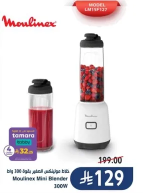 Moulinex Mini Blender 300W