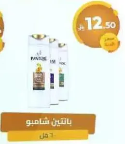 بانتين شامبو