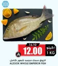 سمك مجمد شعور كامل