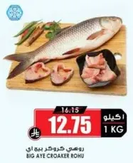 Big Aye Croaker Rohu