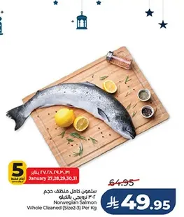سلمون كامل منظف دهن ٣-٢ لونه نرويجي